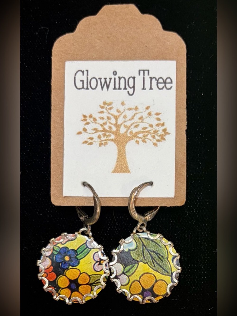 NWT! Earrings